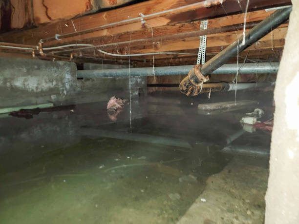 Best Ceiling water damage repair  in Lula, GA