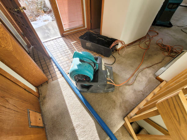 Best Local water damage restoration  in Lula, GA