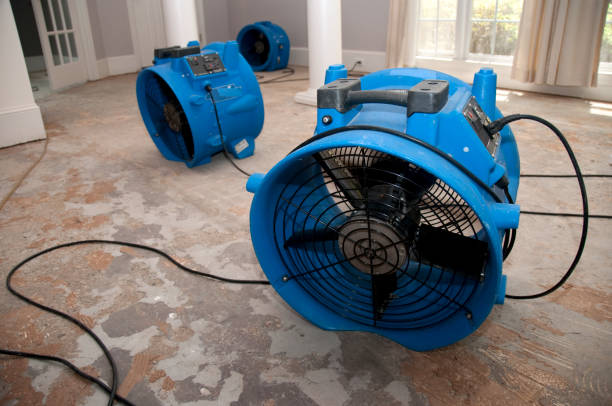 Best Mold removal after water damage  in Lula, GA