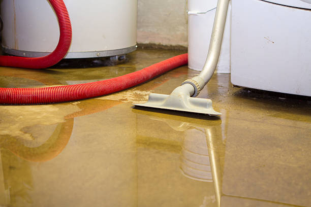 Carpet water damage restoration in Lula, GA